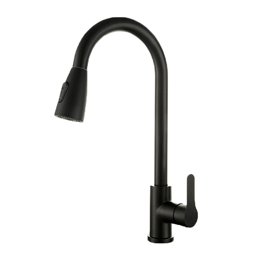 Black kitchen faucet on a white background